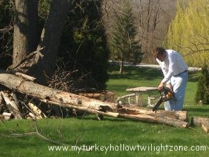 Tree maintenance