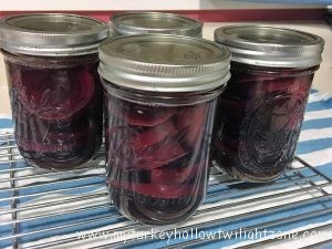 Spiced Pickled =Beets