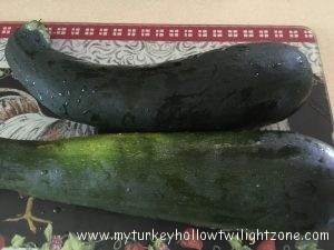 Garden Fresh Zucchini