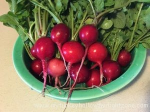 radishes in abundance