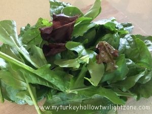 southwest chicken salad