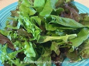 Mixed leaf lettuce