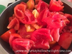 seeding tomatoes